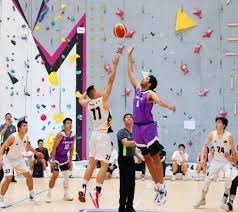 《无尽的拉格朗日》四年坚守初心，在荒漠植下五万株绿色希望！