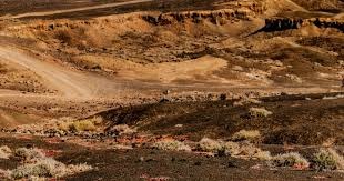 广东男篮对阵浙江，徐杰复出带队冲2连胜